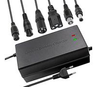 54,6 V 5 A Li-ION Caricabatterie Multi-Plug per E-Bike Scooter e-Bike Barca Moto Caricabatteria da 13 s 48 V (non adatto per batterie piombo - acido)