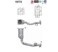 AS 15772 Catalizzatore