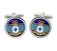 541 Squadron Gemelli RAF Con Scatola