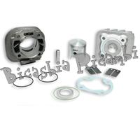 5441 - CILINDRO 47 MALOSSI GHISA 50 2T MOTRON SYNCRO - THUNDER'S