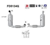 55 KW 75 CV FAP PER Ford Fiesta VI CB1, CCN 1.6 TdCi
