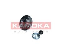 5500029 KAMOKA Kit cuscinetto ruota per ALFA ROMEO,AUTOBIANCHI,FIAT,LANCIA,MAZDA