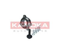 5500174 KAMOKA Kit cuscinetto ruota per AUDI