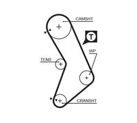 5545XS GATES Cinghia dentata per FIAT,FIAT (NANJING),LANCIA,ZASTAVA