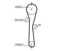 5577XS GATES Cinghia dentata per DACIA,NISSAN,PROTON,RENAULT