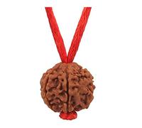 55Carat Genuine 5 Mukhi Five Face Panchamukhi Natural Nepali Rudraksha Semplici Pendenti con Filo Rosso Shiv Beads Jewelry Medaglione per Uomo e Donna