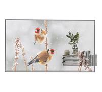 55EW5P-M.AEU 55 OLED, 1920X1080, 16:9