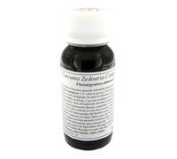 LVS 55S Curcuma Zedoaria Comp.