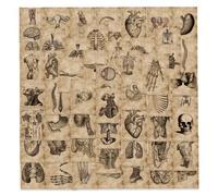 56 pezzi Adesivi di anatomia umana, adatti per decorare quaderni, laptop, custodie per telefoni, bagagli, skateboard, caschi, ecc, ideali per forniture scolastiche e stagione del ritorno a scuola. Pol