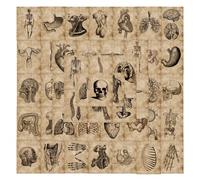 56 pezzi Adesivi per l'anatomia umana, libro tascabile, custodie per cellulare e laptop, bagagli, skateboard, caschi, decorazioni, forniture scolastiche, back to school Policloruri di vinile