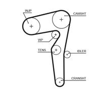 5646XS GATES Cinghia dentata per ALFA ROMEO,CHRYSLER,FIAT,JEEP,LANCIA,OPEL,SUZUK