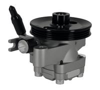 57100-2E000 Pompa Servosterzo Power Steering Pump for Hyundai Tucson JM