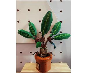 579 Pianta di Mandragola 579 pcs kit di costruzioni