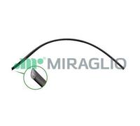 580/C MIRAGLIO Guarnizione, Cristallo portiera per FIAT