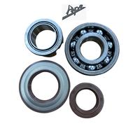 58027 KIT REV. ALBERO MOTORE CUSCINETTI E PARAOLI I APE TM 703