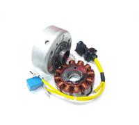 58130R-1 58130R STATORE VOLANO ORIGINALE PIAGGIO BEVERLY EURO3 MIC 125 2007 M...