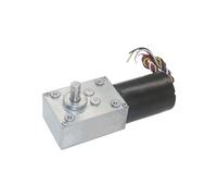 5840-3650 Coppia elevata di alto potere di CC del motoriduttore a vite senza fine BLDC 12V silenziosa for la macchina della tenda(12V 14RPM)