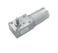 5840-555 High Torque DC 12V 24V Worm Gear electronic starter NWPNLXEA(24V 160rpm,Package 4)