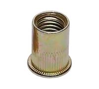 59717 Dado rivetto cieco M12 acciaio 20 pz. PROLINE