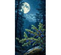 5D Diamond Art Painting,Night Jungle Plants Diamond Painting Kits for Adults,DIY Round Full Drill Canvas Embroidery Cross Stitch,Diamond Arts Crafts Painting Pictures for Home Wall Decor 100x210cm