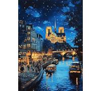 5D Diamond Painting Adulti Cielo Stellato Diamond Painting Kit Completo Vista Notturna Diamantini Crystal Art Kit Quadrato, Pittura Diamante Hobby Creativi Adulti per Decorazioni Casa 35x50 cm X4-1416