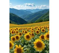 5D Diamond Painting Adulti Girasole, DIY Diamond Painting Kit Completo Paesaggio, Piazza Pittura a Diamante, Disegni con Perline da Attaccare, Diamantini Crystal Art, Decorazioni, 50x70cm D-1827