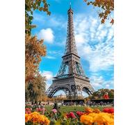 5D Diamond Painting Adulti Parigi Diamond Painting Kit Completo Torre Ferro Diamantini Crystal Art Kit Rotondo, Pittura Diamante Hobby Creativi Adulti per Decorazioni Parete e Casa 20x30 cm X4-1406