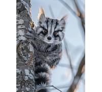 5D Diamond Painting Kit Capelli Diamond Painting Grandi Dimensioni Inverno, 5D Kit Pittura Adulti Quadri Con Perline, DIY Full Drill Quadrato Diamantiny Punto Croce Decorazione Casa 80x120cm I-AH47P4