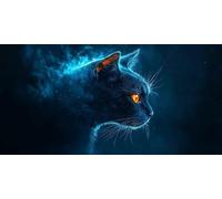 5D Diamond Painting Kit Completo Cielo stellato Diamond Painting Grandi Dimensioni 50x100 cm, Diamantini Crystal Art Kit Pittura Adulti, DIY Gatto Strass Ricamo a Punto Croce per Decorazione c-554