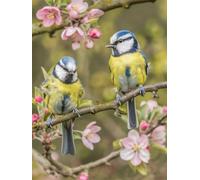 5D Diamond Painting Kit Completo Fiore, Uccello Pittura Diamante Quadri con Perline, Diamantini Crystal Art Bambini, Diamond Ricamo a Punto Croce Painting, Oggetti Decorativi per La Casa 30x40cm Y-9