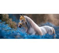 5D Diamond Painting Kit Completo Gatto, Fiori Cavallo Pittura Diamante, Diamond Painting Bambini Adulti, Diamante Mosaico Strass Ricamo a Punto Croce Painting Decorazione per Casa Regalo 40x90cm S-355