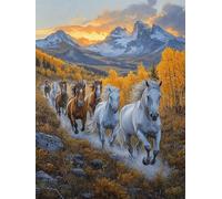 5D Diamond Painting Kit, Diamond Painting Cavallo Pittura Diamante Paesaggio Diamantini Crystal Art, DIY Strass Ricamo a Punto Croce Artigianale Adulti per Decorazioni Casa Parete 50X70Cm -wyl25062L