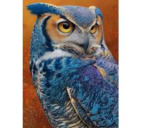 5D Diamond Painting Kit, Diamond Painting Gufo Pittura Diamante Animale Diamantini Crystal Art, DIY Strass Ricamo a Punto Croce Artigianale Adulti per Decorazioni Casa Parete 20X30Cm -wyl2506AQ