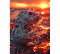 5D Diamond Painting Kit Foca Diamond Painting Grandi Dimensioni Tramonto, DIY Kit Pittura Adulti Quadri con Perline, 5D Full Drill Quadrato Diamantiny Punto Croce Decorazione Parete 80x100cm H-N829