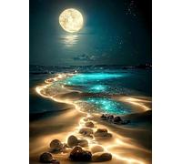 5D Diamond Painting: Pittura diamante spiaggia al chiaro di luna, Pittura con Diamanti e Perline, Quadro Fai da Te per Adulti e Bambini, regalo di compleanno,Decorazione Pareti Casa 30x40cm