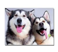 5D DIY Diamond Painting Kit Completo,Cane Husky Diamond Painting Bambini Adulti,Strass Ricamo a Punto Croce Arte Diamant Pittura Casa Parete Decorazione Square Drill,30x50cm