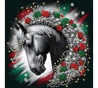 5D fai -da -te parziale parziale a forma di trapano a forma di diamante kit di pittura decorazione a cavallo30x30cm (CX278)