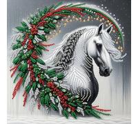 5D fai -da -te parziale parziale a forma di trapano a forma di diamante kit di pittura decorazione a cavallo30x30cm (CX279)