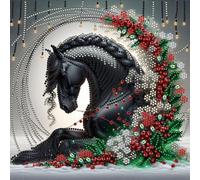 5D fai -da -te parziale parziale a forma di trapano a forma di diamante kit di pittura decorazione a cavallo30x30cm (CX282)