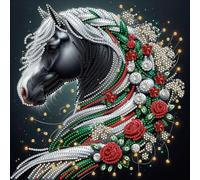 5D fai -da -te parziale parziale a forma di trapano a forma di diamante kit di pittura decorazione a cavallo 30x30cm (CX281)