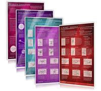 [5er Set - 2020] G-Punkt-Massage, Yoni-Massage, Lingam-Massage, Sanfte Klitorismassage, Weibliche Ejakulation: Ideal für die erotische Massage [5 Karten DIN A4-2seitig, laminiert]