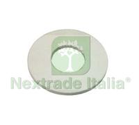 5KG RANELLE IN GOMMA PER DAME E DAMIGIANE Ø MM.42, IN BUSTA DA KG.1: