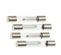 5KV Special Microwave Oven Fuse 6X40MM 0.65A 0.7A 0.75A 0.8A 0.85A 0.9A Glass Tube Fuse 5000V 700MA 6x40mm High-Pressure Fuse(5PCS,0.65A)