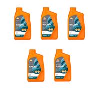 5LT OLIO MOTORE SINTETICO 2 TEMPI REPSOL RACING API TC ISO L-EGD TISI 1040
