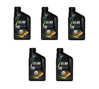 5LT OLIO MOTORE SINTETICO 5W30 SELENIA WR PURE ENERGY PETRONAS ACEA C2