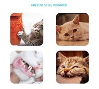 5PCS Arcobaleno Colore Gatti Mouse Forma Giocattolo Riempito Semi Panno Grattare