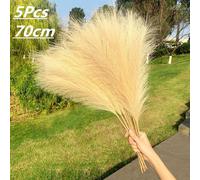 5pcs Artificiale Pampas Erba Bouquet Simil Secchi Pianta Per Home Living Casa