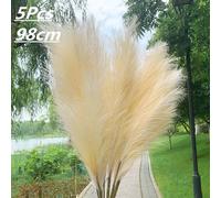 5pcs Artificiale Pampas Erba Bouquet Simil Secchi Pianta Per Home Living Casa
