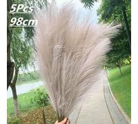 5pcs Artificiale Pampas Erba Bouquet Simil Secchi Pianta Per Home Living Casa