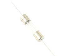 5pcs Glass Tube Fuse 5x20mm 5 * 20mm Quick Fast/Slow Blow Time Delay Axial Links Lead 250V 1A 2A 3A 3.15A 4A 5A 6.3A 8A 10A 15A(3.15A,Slow Blow-T)
